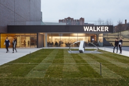 Liz Larner - Walker Art Center