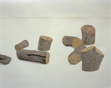 Toba Khedoori, Untitled (Logs) detail